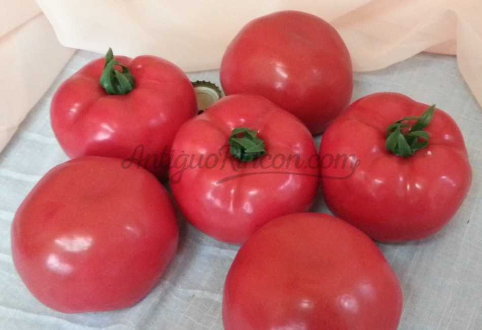 Tomate rojo natural. Imitación alimentos. 6 Unidades.