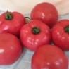 Tomate rojo natural. Imitación alimentos. 6 Unidades.