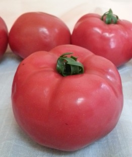 Tomate rojo natural. Imitación alimentos. 6 Unidades.