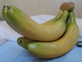 Plátanos en racimo. Imitación alimentos. 5 Plátanos.