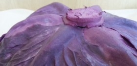 Repollo morado grande. Imitación alimentos.