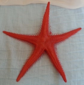 Estrella de Mar roja. Imitación alimentos. Dos Unidades.