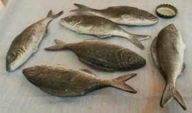 Sardinas. Imitación alimentos. Seis unidades.