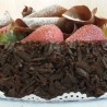 Pastel de Chocolate con Fresas. Imitación alimentos.