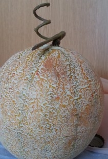 Melón amarillo. Imitación alimentos.