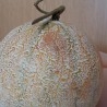 Melón amarillo. Imitación alimentos.