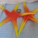 Estrella de Mar roja y amarilla. Imitación alimentos. Dos Unidades.