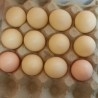 Huevos. Imitación alimentos. 12 unidades.