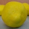 Limones. Imitación alimentos. Seis unidades.