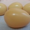 Huevos de gallina. Color Marrón. Imitación alimentos. 12 unidades.