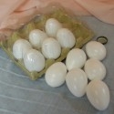 Huevos de gallina. Color Blanco. Imitación alimentos. 12 unidades.