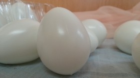 Huevos de gallina. Color Blanco. Imitación alimentos. 12 unidades.