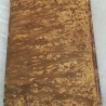 Gramática castellana. Libro centenario. Años 1869.