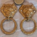 Tirador. Manilla cabeza de león. Pareja.