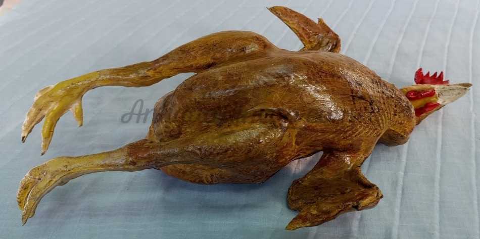 gallina-asada-ficiticio