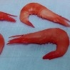 gambas-ficticios