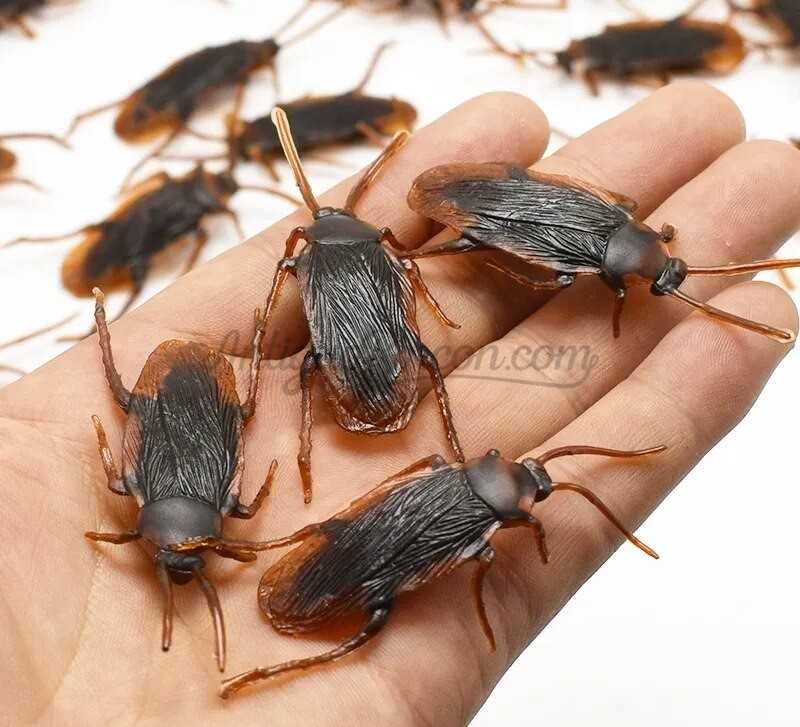 cucarachas-falsas cucarachas-falsas
