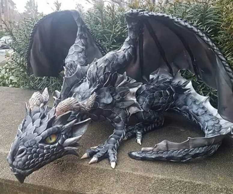 dragon-alado