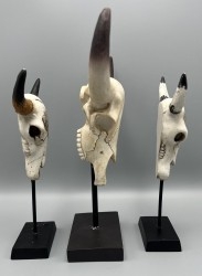 Taxidermia