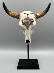 Taxidermia