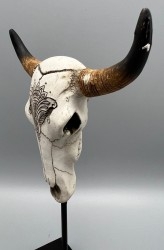 Taxidermia