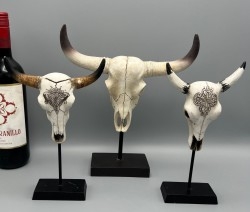 Taxidermia