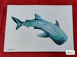 cuadro-tiburon