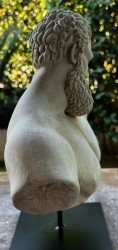 Busto. Hércules Farnesio. 34 cm altura. Escultura en polvo de mármol.