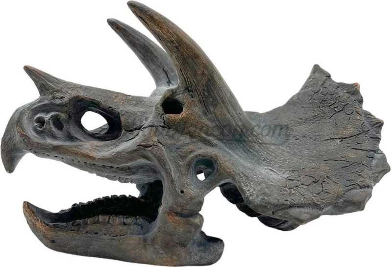 triceratops