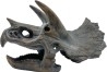 triceratops