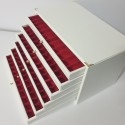 expositor-plumas