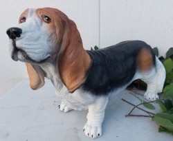 Perros - Perritos - Dogs - Canes