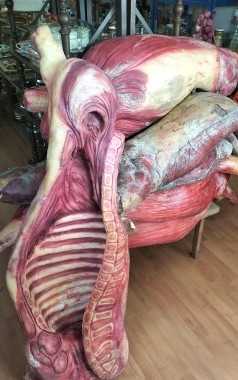 Trabajos realizados