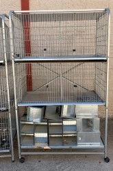 Antigüedades y Curiosidades