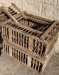 Antigüedades - Curiosidades