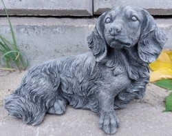 Perros - Perritos - Dogs - Canes