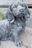 Perros - Perritos - Dogs - Canes