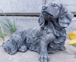 Perros - Perritos - Dogs - Canes