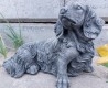 Perros - Perritos - Dogs - Canes