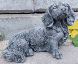 Perros - Perritos - Dogs - Canes