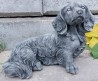 Perros - Perritos - Dogs - Canes