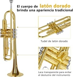 Música - Todo en música