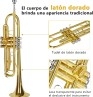 Música - Todo en música