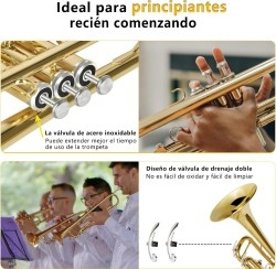 Música - Todo en música