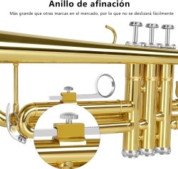 Música - Todo en música