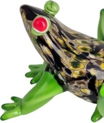 Ranas - Ranitas - Sapos - Anfibios