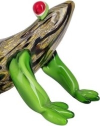 Ranas - Ranitas - Sapos - Anfibios