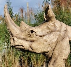 Animales - Animalitos de colección