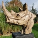 rinoceronte-busto