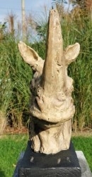 Animales - Animalitos de colección